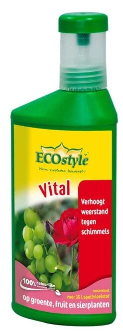 ECOstyle Vital Concentraat 250 Ml