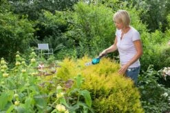 GARDENA Accu Gras- En Buxusschaar Set Accucut Li -Gardena Winkel gardena accu gras en buxusschaar set accucut li 1619704816 l