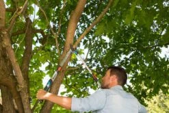 GARDENA Takkenschaar TeleCut Long 650-900 B -Gardena Winkel gardena telecut long 650 900b 1500x1001 640af7f15744f l